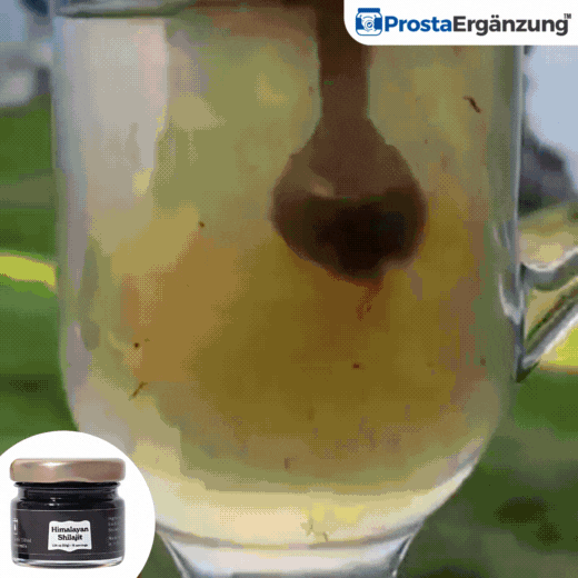 ProstaErgänzung™ | Shilajit-Harz
