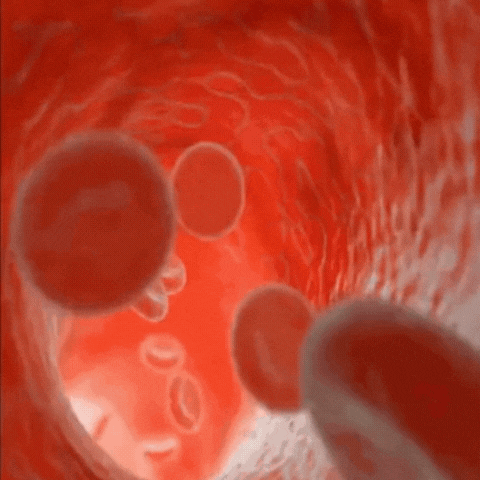 NeuroBalm® | Beinwellsalbe gegen Neuropathie