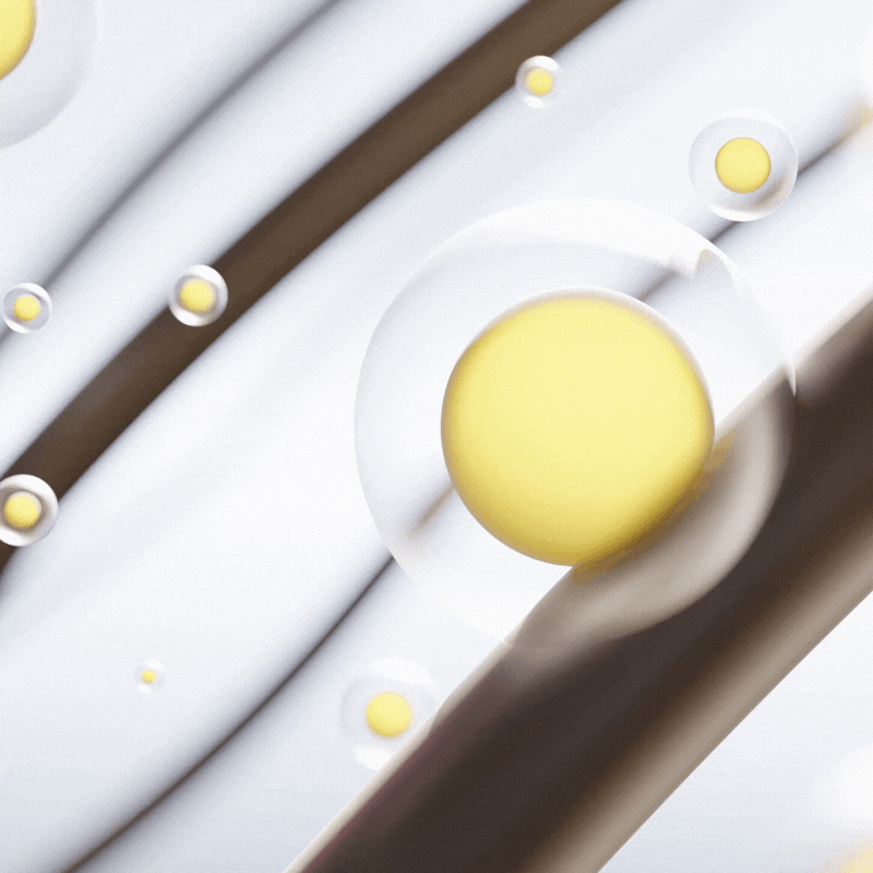 HairReparatur™ | Verabschieden sich von trockenem, krausem und geschädigtem Haar in nur 1 Woche!