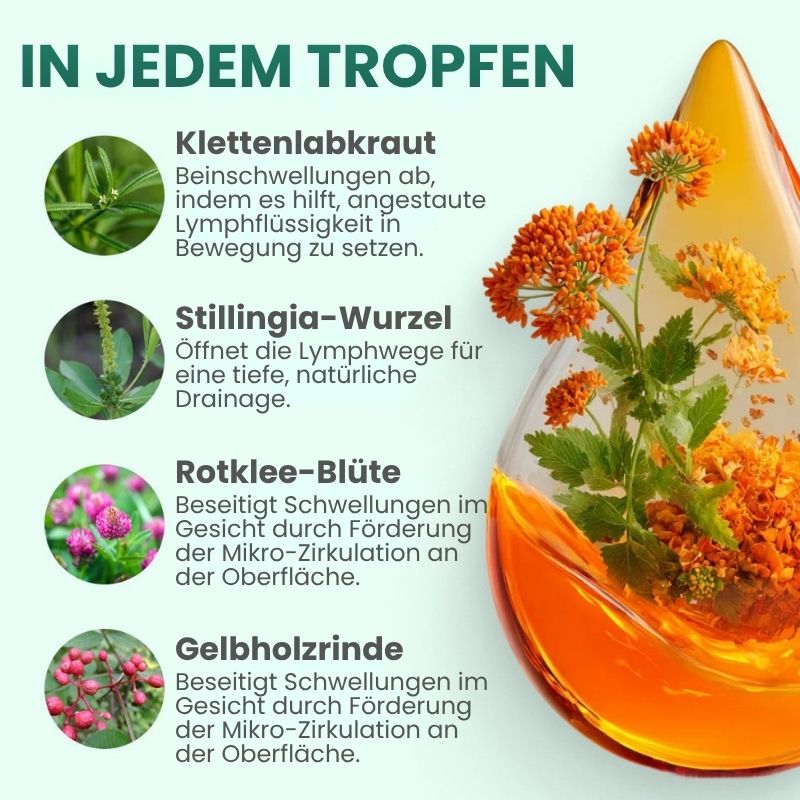 Lymphoria™ | Wellness-Tropfen für die Lymphdrainage