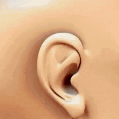 EchoCalm® | Reduzieren Sie Tinnitus-Symptome um 99% in nur 7 Tagen