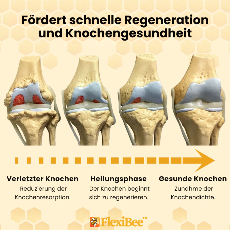 FlexiBee™ | Bienenvenom-Therapie-Pflaster