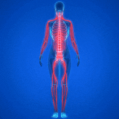 NeuroFrei™ | Fußbad-Kapseln gegen Neuropathie