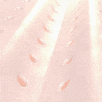 HautZauber™ | Hautstraffendes Serum