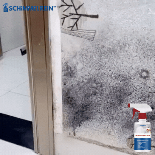 SchimmelRein™ | Schimmelentfernungsspray