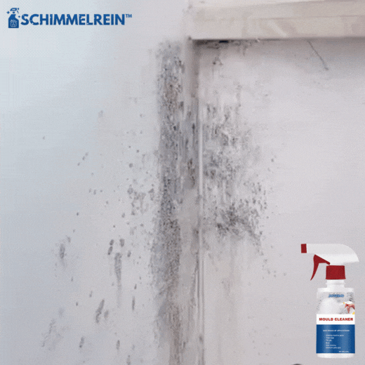 SchimmelRein™ | Schimmelentfernungsspray