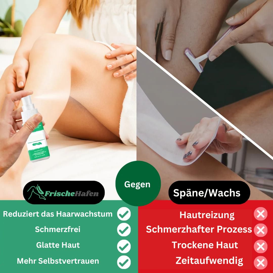FrischeHafen™ | Umfassen Sie Sauberkeit, umarmen Sie Vertrauen, jeden Tag!