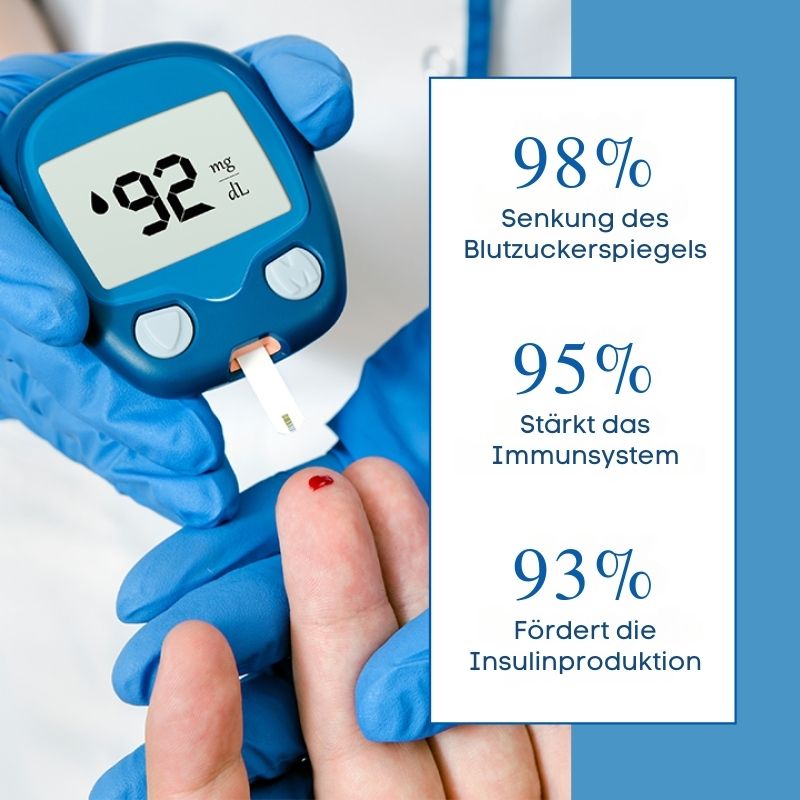 GlucoFettControl™ | Dual-Action Zucker- und Lipid-Balance Pflaster