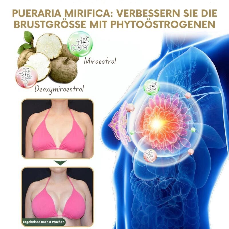 BrustMeister™ | Pueraria Mirifica Papaya Saft Brust Wachsen Pulver