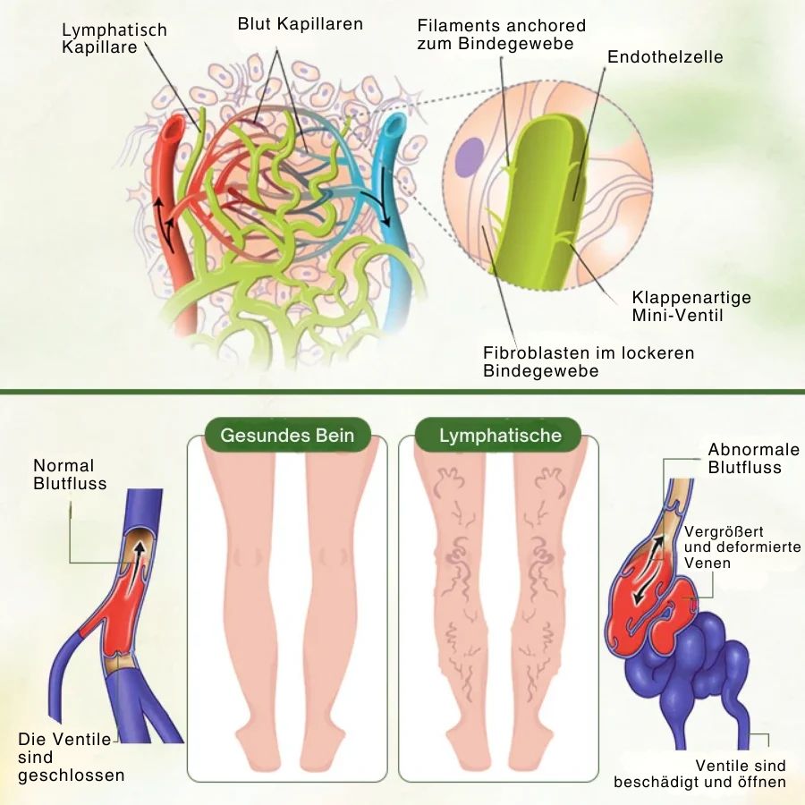 LymphoPure™  | Lymphatische Detox-Kräutercreme