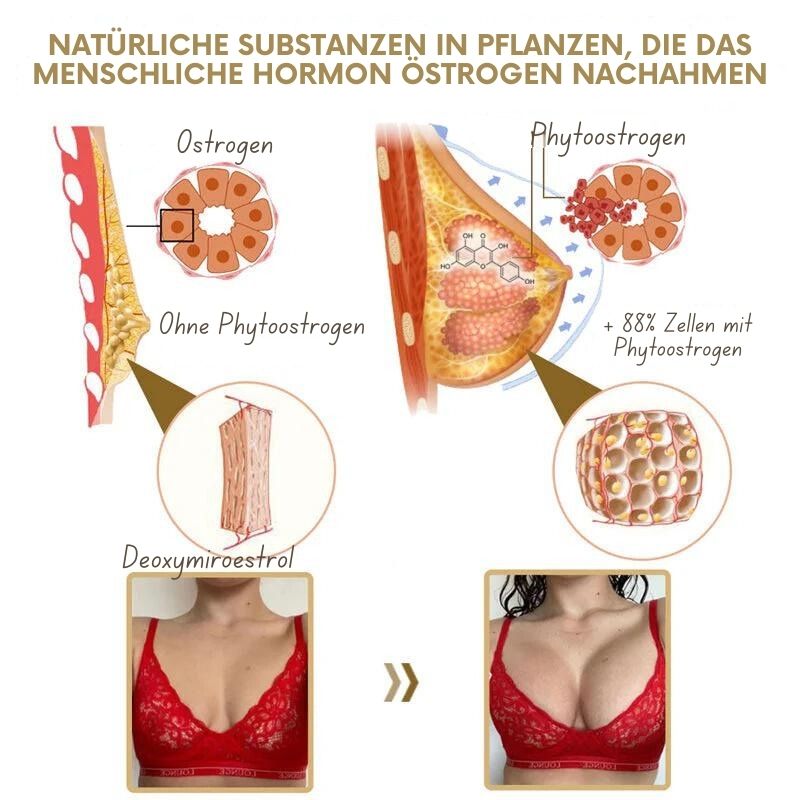 BrustMeister™ | Pueraria Mirifica Papaya Saft Brust Wachsen Pulver