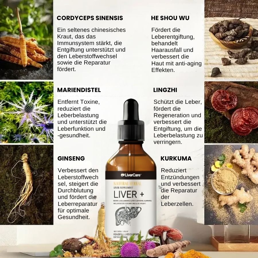 LiverCare™ | Leber-Ergänzungstropfen