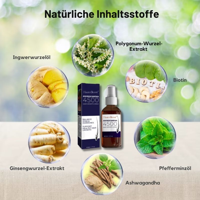 HaareBoost™ | Ashwagandha Haarwuchsöl