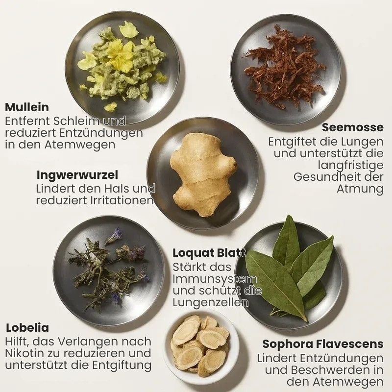 LungenRein™ | Atemklar Inhalator