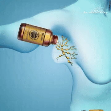 GingerSchlank™ | Schmelzen hartnäckige Fette in nur 7 Tagen weg!