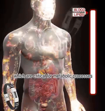 ZuckerFrei™ | Vergessen Sie den Blutzuckerstress für immer!