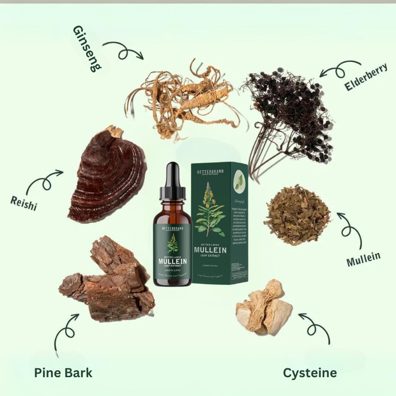 LungenFrei™ | Besiegen Sie Atemprobleme in nur 1 Tag!