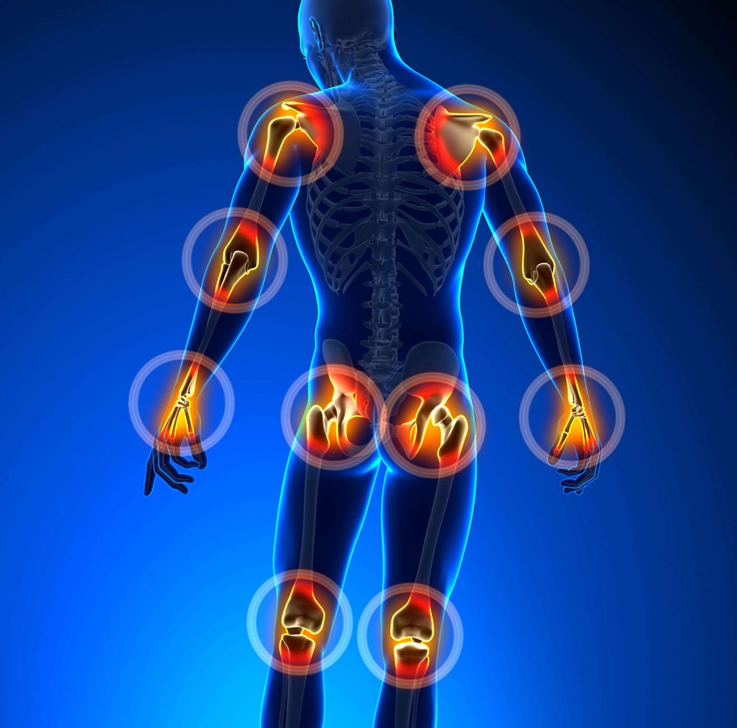 Gelee Flex™ | Umfassende Linderung von Gelenkschmerzen und verbesserte Gelenkgesundheit