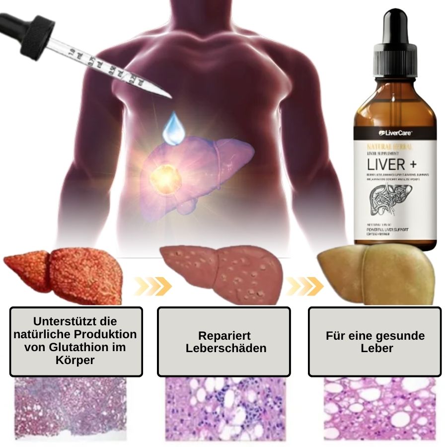 LiverCare™ | Leber-Ergänzungstropfen