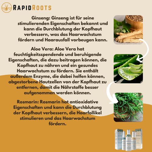 RapidRoots | Formel für Haarwachstum